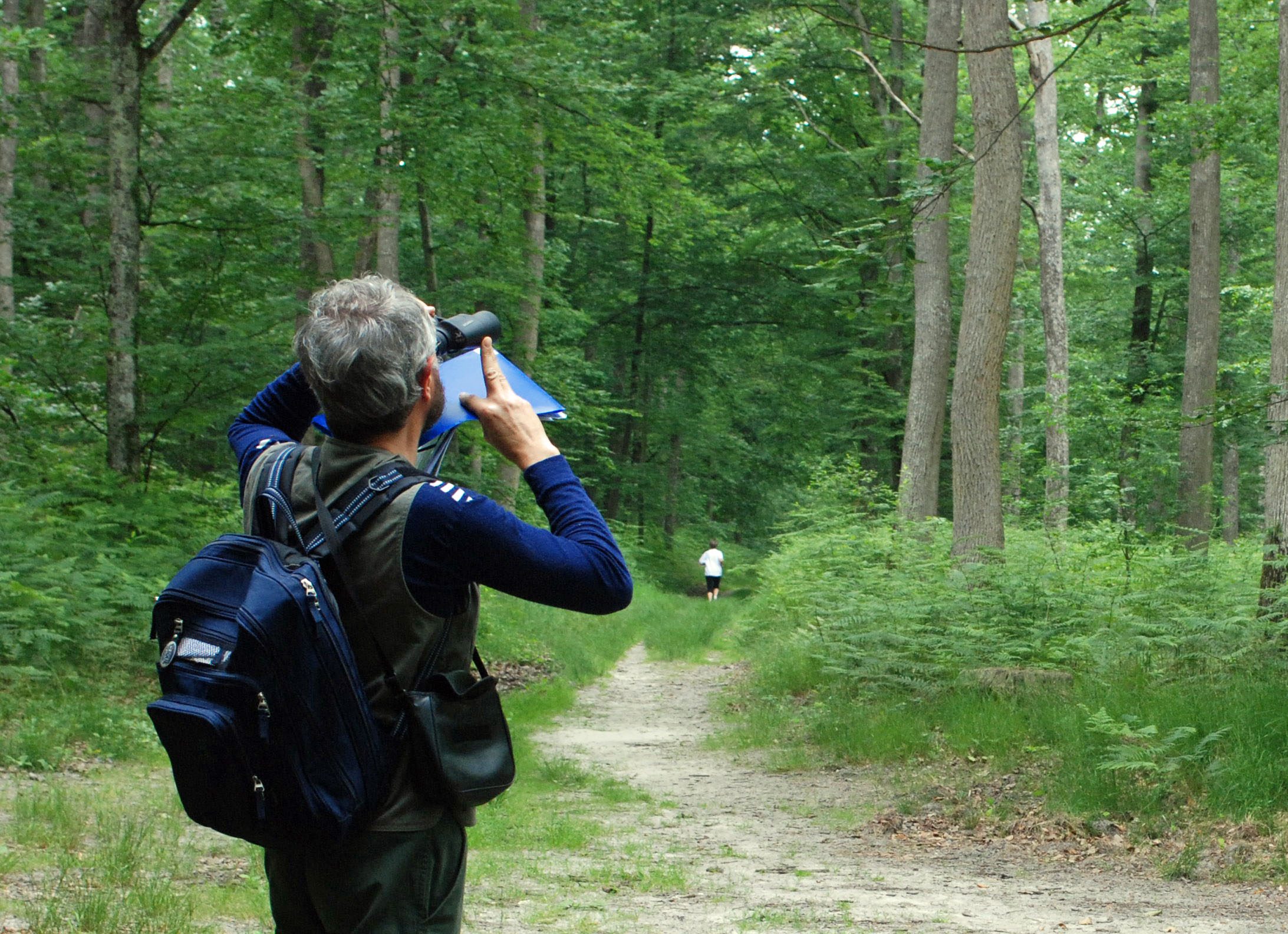Compter la  forêt pour mieux la connaître