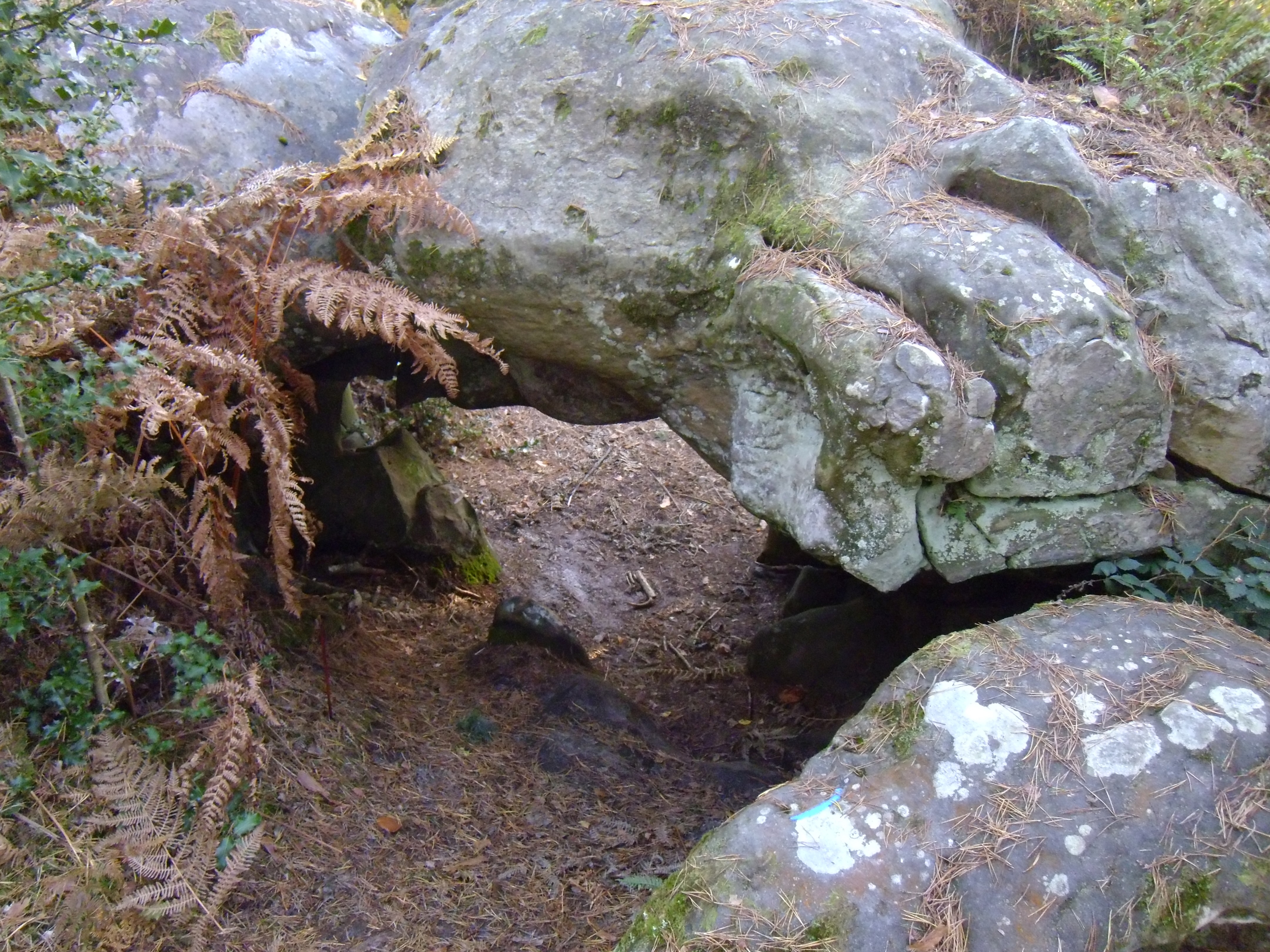 L’Amour des Demoiselles