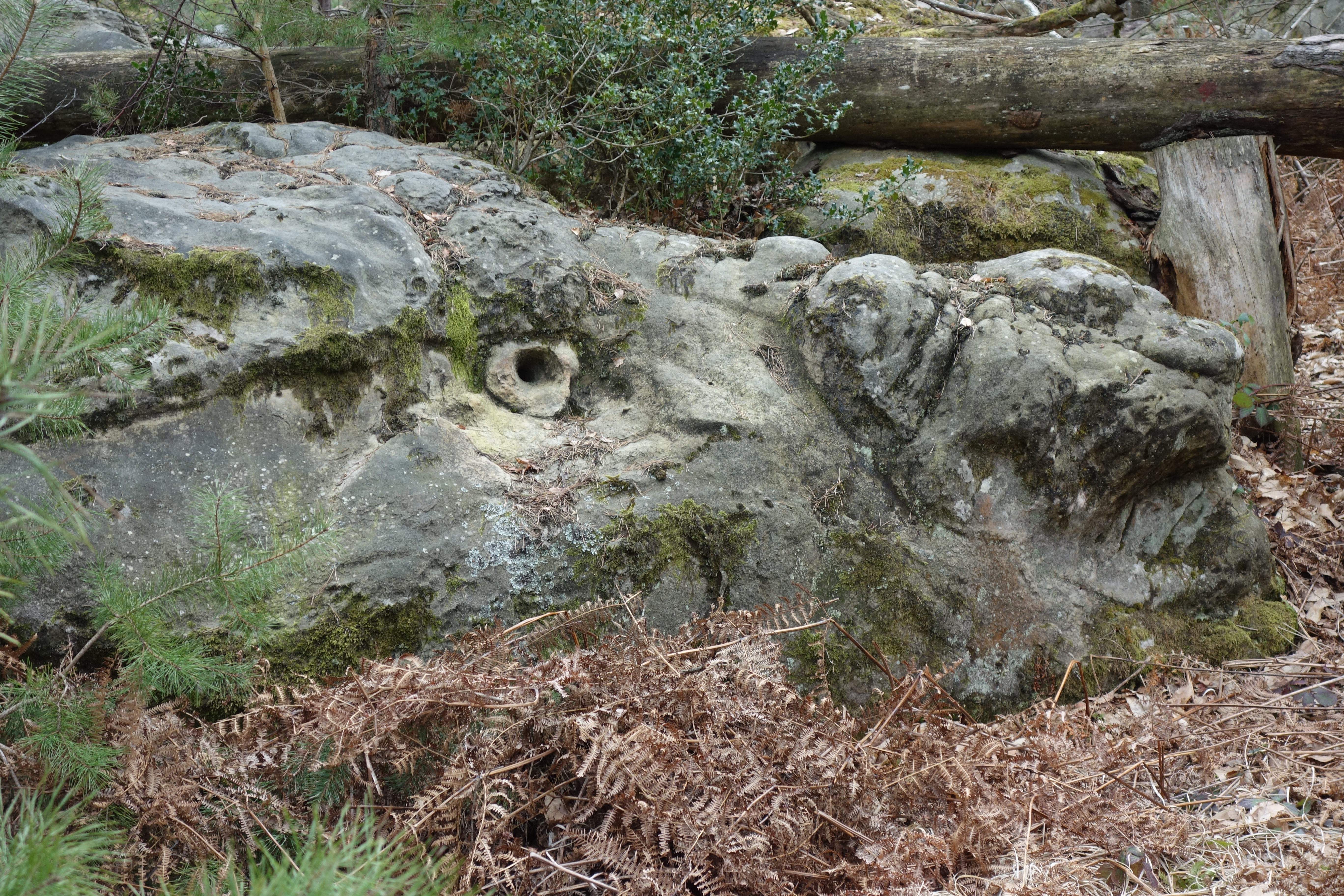 Le sentier 17 et ses pépites cachées.