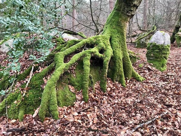 À la découverte du nouveau tracé du sentier 14