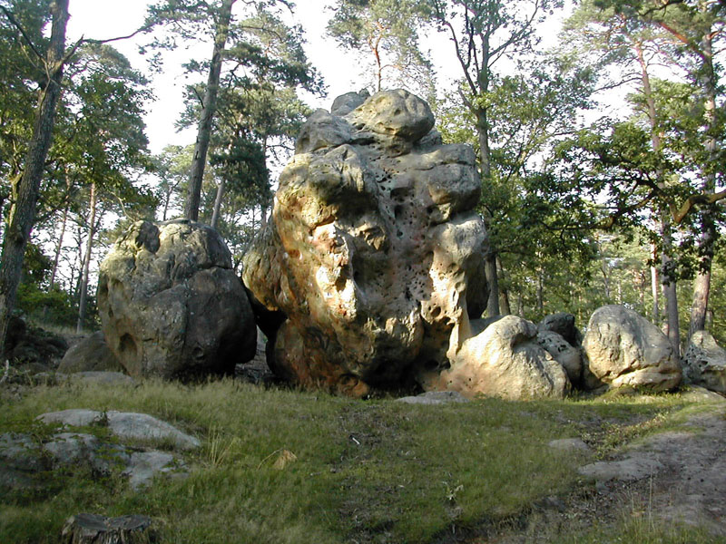 Sortie commune Amis du château/Amis de la forêt