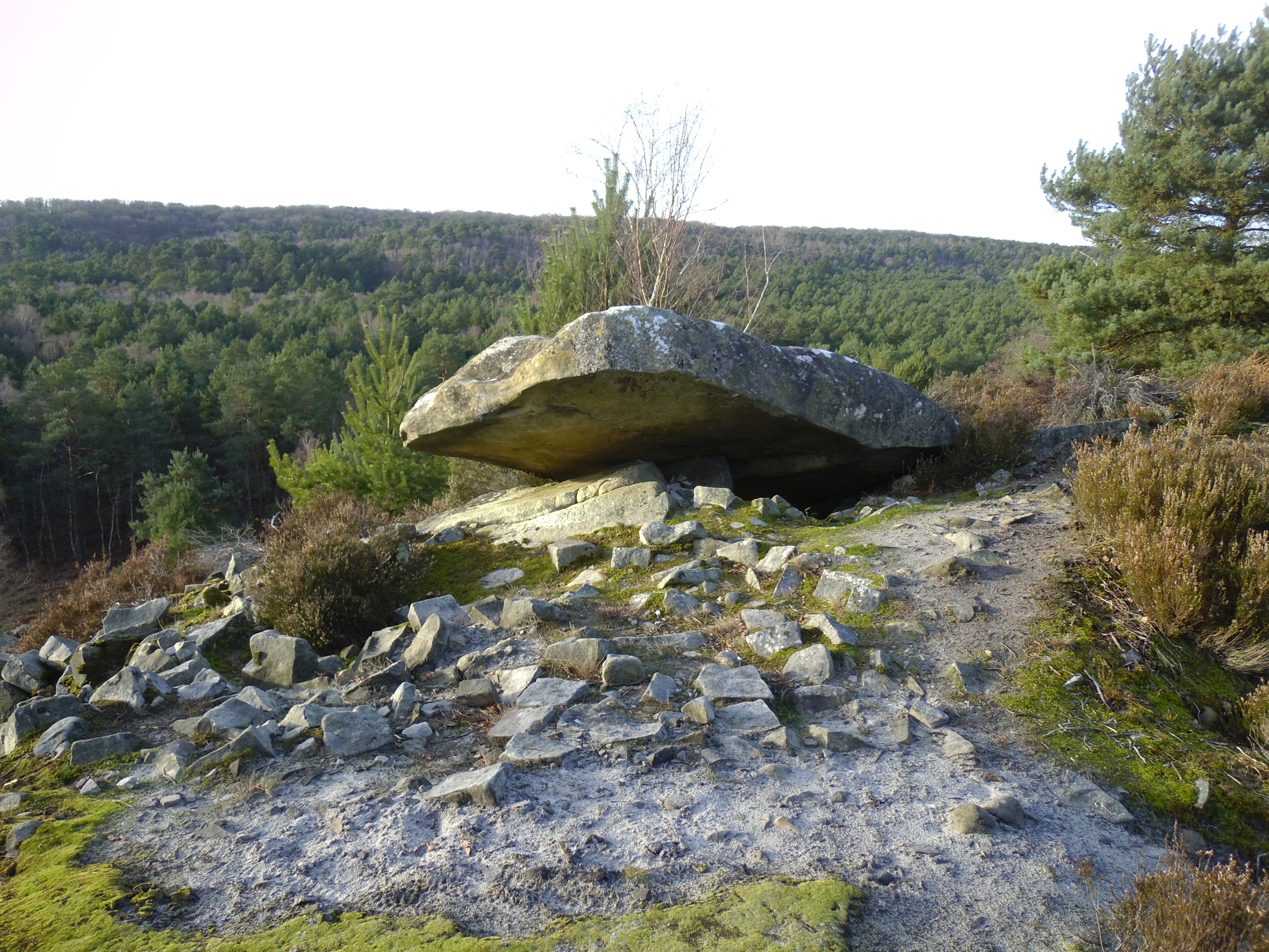 Clair Bois et Désert d’Apremont
